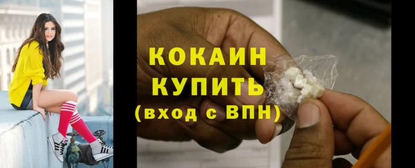 кокс Алексин