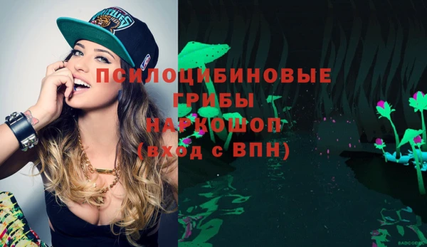 молекула духа Алексеевка