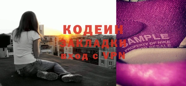молекула духа Алзамай