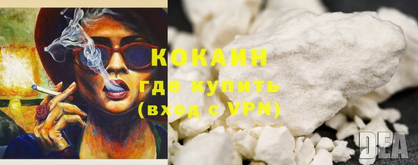кокс Алексин