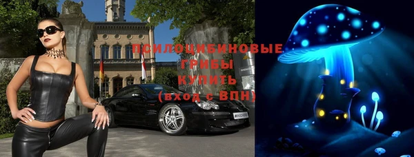 молекула духа Алексеевка